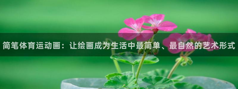 哈哈体育：简笔体育运动画：让绘画成为生活中最简单、最自然的艺术形式