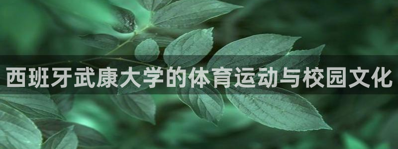 哈哈体育十年：西班牙武康大学的体育运动与校园文化