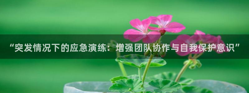 哈哈体育下载：“突发情况下的应急演练：增强团队协作与自我保护意识”