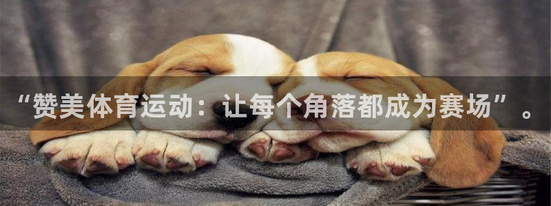 哈哈体育下载：“赞美体育运动：让每个角落都成为赛场”。