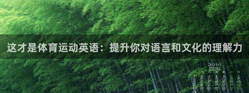 哈哈体育：这才是体育运动英语：提升你对语言和文化的理解力