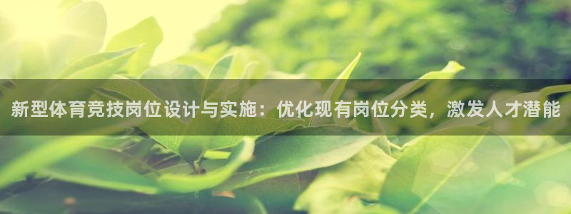 哈哈体育十年：新型体育竞技岗位设计与实施：优化现有岗位分类，激发人才潜能