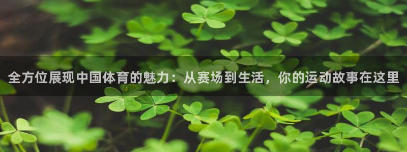 哈哈体育：全方位展现中国体育的魅力：从赛场到生活，你的运动故事在这里