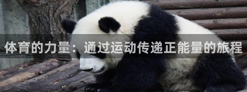 哈哈体育下载：体育的力量：通过运动传递正能量的旅程