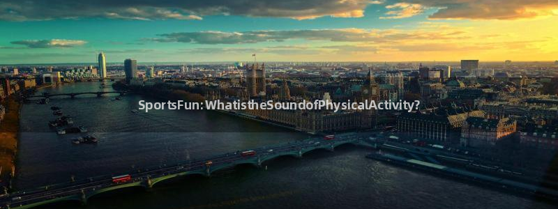哈哈体育：SportsFun:WhatistheSoundofPhysicalActivity?