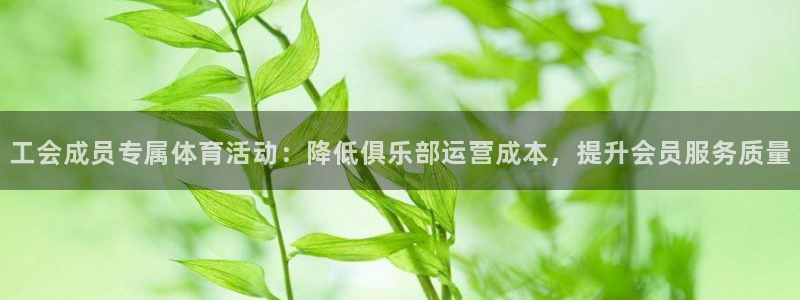 哈哈体育十年：工会成员专属体育活动：降低俱乐部运营成本，提升会员服务质量