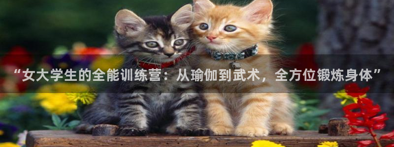 哈哈体育下载：“女大学生的全能训练营：从瑜伽到武术，全方位锻炼身体”