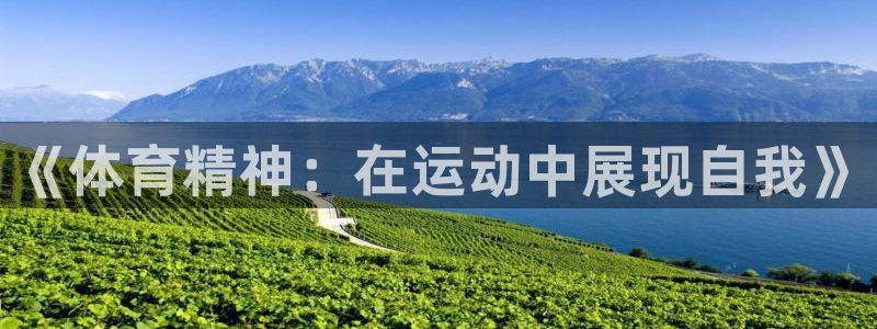 哈哈体育十年：《体育精神：在运动中展现自我》