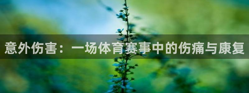 哈哈体育下载：意外伤害：一场体育赛事中的伤痛与康复