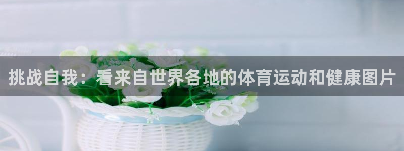 哈哈体育下载：挑战自我：看来自世界各地的体育运动和健康图片