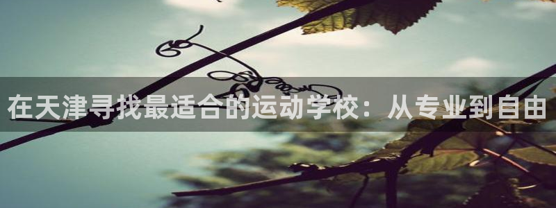 哈哈体育：在天津寻找最适合的运动学校：从专业到自由