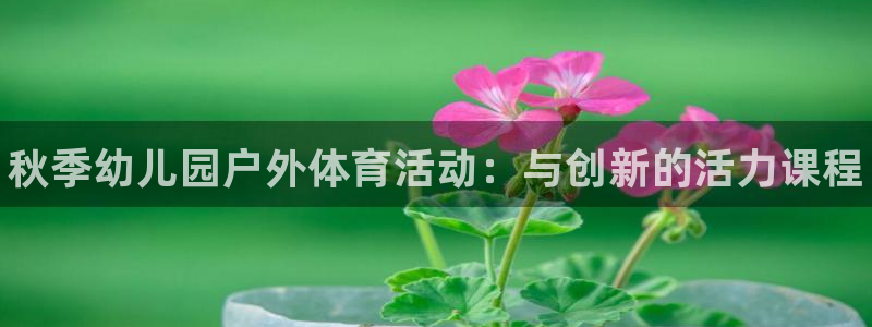 哈哈体育十年：秋季幼儿园户外体育活动：与创新的活力课程