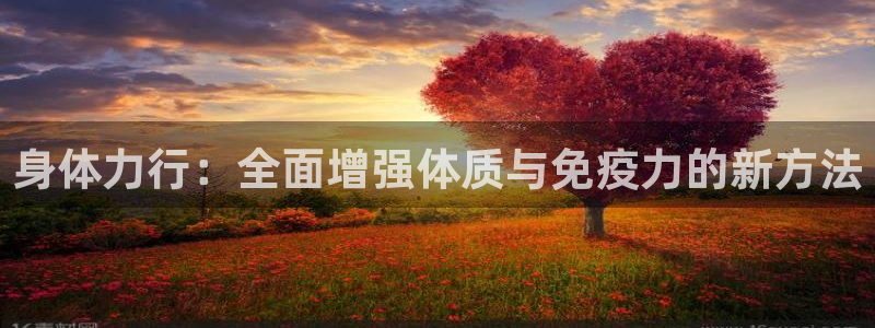 哈哈体育下载：身体力行：全面增强体质与免疫力的新方法