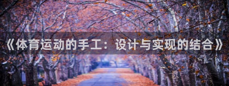 哈哈体育下载：《体育运动的手工：设计与实现的结合》