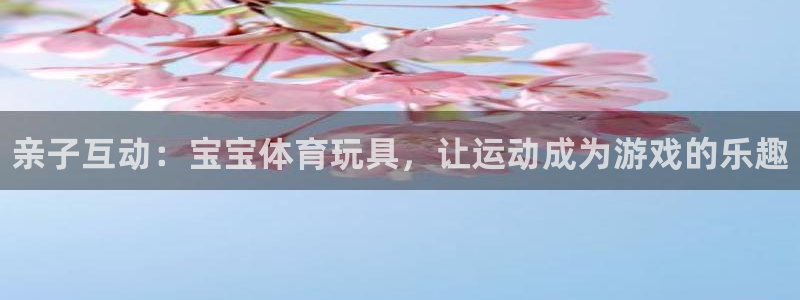 哈哈体育下载：亲子互动：宝宝体育玩具，让运动成为游戏的乐趣