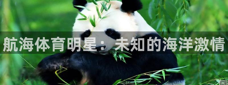 哈哈体育：航海体育明星：未知的海洋激情