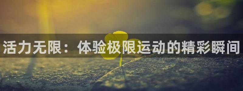 哈哈体育：活力无限：体验极限运动的精彩瞬间